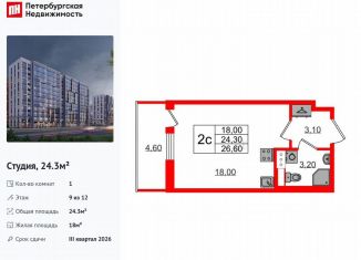 Квартира на продажу студия, 24.3 м2, Санкт-Петербург, метро Озерки