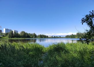 Продаю дачу, 37.2 м2, Санкт-Петербург