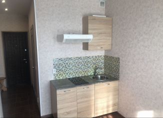 Продажа квартиры студии, 16.3 м2, деревня Афонино, улица Красная Поляна, 2