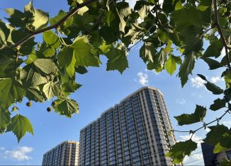 Продаю 3-комнатную квартиру, 81 м2, Ростов-на-Дону, ЖК Город у Реки, улица 23-я Линия, 54с4