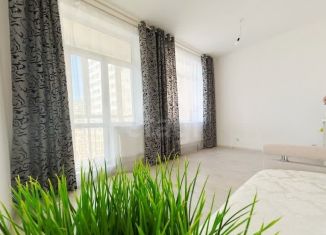 Продам квартиру студию, 25 м2, Мурино, Ручьёвский проспект, 13