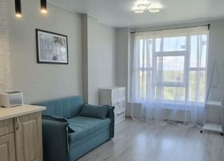Квартира на продажу студия, 23.2 м2, Мурино, улица Шоссе в Лаврики, 67