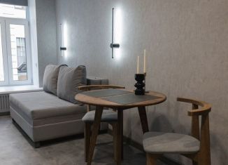 Сдаю в аренду квартиру студию, 24.1 м2, Санкт-Петербург, Тележная улица, 29