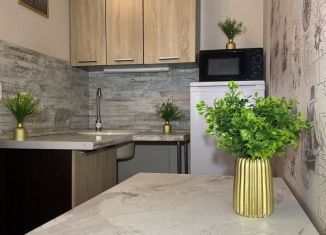 Сдается в аренду однокомнатная квартира, 20 м2, Долгопрудный, улица Лизы Чайкиной, 14/15