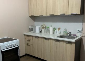 Сдается в аренду однокомнатная квартира, 32 м2, Санкт-Петербург, проспект Ветеранов, 169к1, муниципальный округ Сосновая Поляна