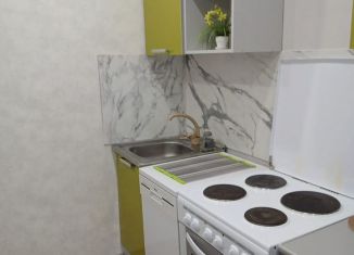Сдается 1-ком. квартира, 39 м2, Новосибирская область, улица Фрунзе, 5