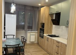 Сдается в аренду 1-ком. квартира, 41 м2, Йошкар-Ола, улица Эшкинина, 19, микрорайон Центральный