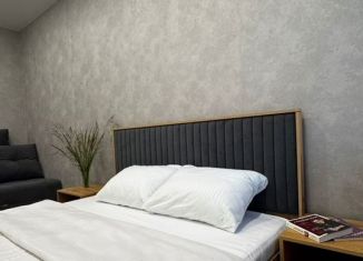 Сдается однокомнатная квартира, 38 м2, Йошкар-Ола, улица Кирова, микрорайон Мирный