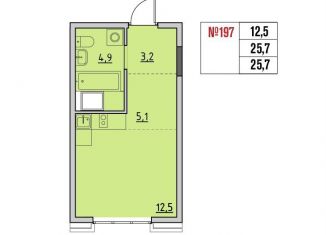Продаю квартиру студию, 25.7 м2, рабочий поселок Маркова, квартал Стрижи, 16