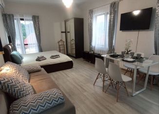 Сдается квартира студия, 40 м2, село Раздольное, СНТ Оазис, 123