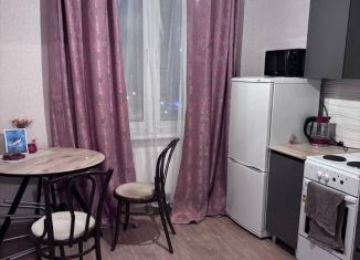 Сдаю в аренду квартиру студию, 27 м2, Пермь, улица Василия Татищева, 8, ЖК Арсенал