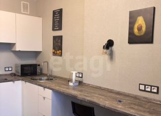 Квартира на продажу студия, 22 м2, Санкт-Петербург, Дизельный проезд, 11к1, ЖК Две Столицы