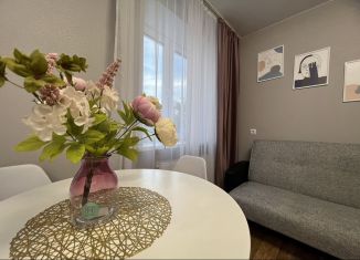 Сдача в аренду квартиры студии, 23 м2, Республика Башкортостан, Бородинская улица, 11/1