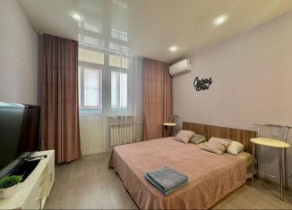 Сдаю в аренду квартиру студию, 27 м2, Оренбург, улица Геннадия Донковцева, 17/1, Ленинский район
