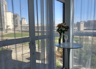 Сдается в аренду квартира студия, 42 м2, Псков, Ольгинская набережная