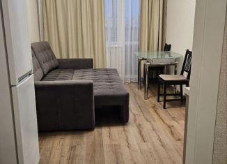 Сдаю в аренду 2-ком. квартиру, 36 м2, Пушкин, Камероновская улица, 16