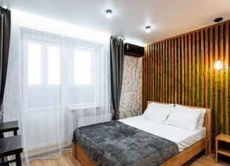 Сдаю квартиру студию, 20.5 м2, Республика Башкортостан, улица Конституции, 5/1