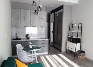 Продам квартиру студию, 25 м2, Санкт-Петербург, Витебский проспект, 99к1, муниципальный округ Гагаринское