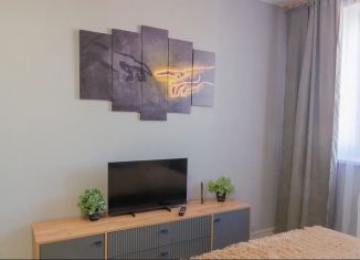 Сдаю 1-ком. квартиру, 37 м2, Пермь, улица Анри Барбюса, 43к3, Мотовилихинский район