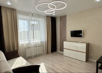 Сдается 1-ком. квартира, 40 м2, Йошкар-Ола, улица Кирова, 25, микрорайон Мирный