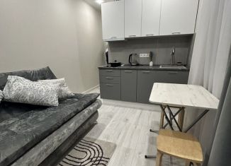 Сдается в аренду квартира студия, 27.9 м2, Сочи, Фермерский переулок, 24, микрорайон Энергетик-Изумруд