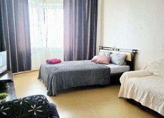 Сдается в аренду 1-ком. квартира, 30 м2, Орёл, улица Панчука, 83А