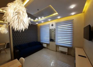 Сдается квартира студия, 22.3 м2, Москва, Ботаническая улица, 33Вс1, СВАО