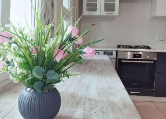 Однокомнатная квартира на продажу, 22.7 м2, Санкт-Петербург, муниципальный округ Новоизмайловское, Ленинский проспект, 154