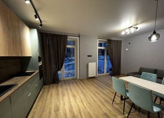 Сдается 1-ком. квартира, 55 м2, Новосибирск, улица Шевченко, 19/1