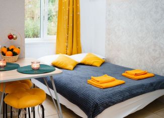 Сдача в аренду квартиры студии, 19 м2, Сочи, улица Пархоменко, 19к1, ЖК Лас Сочис