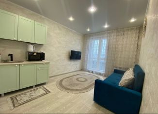 Сдам квартиру студию, 19.5 м2, Новосибирск, улица Забалуева, 102/1, Ленинский район