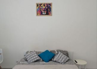 Сдаю квартиру студию, 30 м2, Санкт-Петербург, Верхне-Каменская улица, 9к1