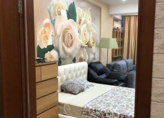 Сдается в аренду 2-комнатная квартира, 60 м2, Сочи, Параллельная улица, 10, микрорайон Завокзальный