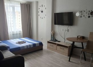 Сдается в аренду квартира студия, 27 м2, Вологда, Молодёжная улица, 20