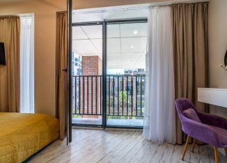 1-ком. квартира в аренду, 33 м2, Сочи, Курортный проспект, 96Г