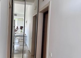 Сдается квартира студия, 36 м2, Сочи, улица Серафимовича, 5, микрорайон Светлана