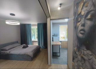 Сдаю в аренду 1-ком. квартиру, 32 м2, Нижний Новгород, Красносельская улица, 13
