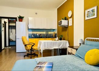 Сдам в аренду квартиру студию, 30 м2, Санкт-Петербург, проспект Авиаконструкторов, 23к1