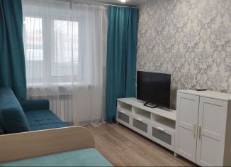 Сдача в аренду 1-ком. квартиры, 32 м2, Йошкар-Ола, улица Йывана Кырли, 50, микрорайон 9Б