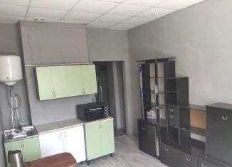 1-ком. квартира на продажу, 20 м2, Благовещенск, улица Воронкова, 4