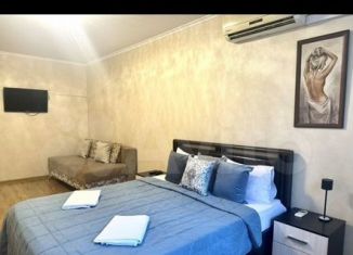 Сдам 1-комнатную квартиру, 29 м2, Сочи, улица Роз, микрорайон Центральный