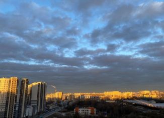 Продаю 2-ком. квартиру, 54.6 м2, Санкт-Петербург, Русановская улица, 16к1, муниципальный округ Народный