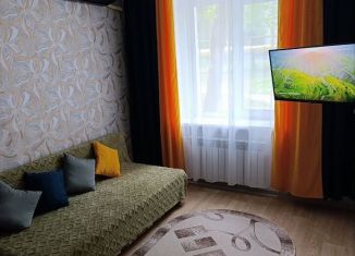 Сдача в аренду 1-ком. квартиры, 32 м2, Саратов, 1-й Студёный проезд, 6