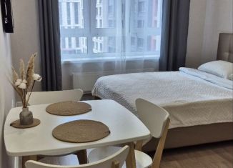 Квартира в аренду студия, 30 м2, Республика Башкортостан, улица Рудольфа Нуреева, 7