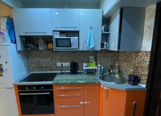 Продается квартира студия, 17 м2, Екатеринбург, Братская улица, 11, Чкаловский район