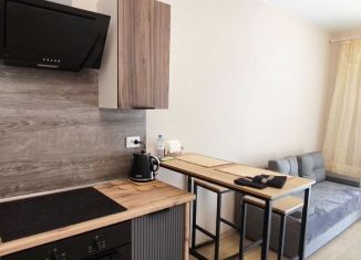 Аренда 1-ком. квартиры, 41 м2, Нижний Новгород, улица Профинтерна, 17