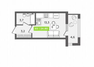 Продажа 1-комнатной квартиры, 24.8 м2, Санкт-Петербург, Московский проспект, 71к3, муниципальный округ Измайловское