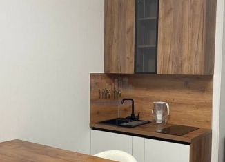 Продажа квартиры студии, 25 м2, Санкт-Петербург, Приморский район, Арцеуловская аллея, 19