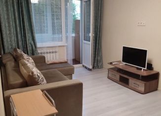 Аренда 1-ком. квартиры, 32 м2, Краснодар, улица Селезнёва, 128