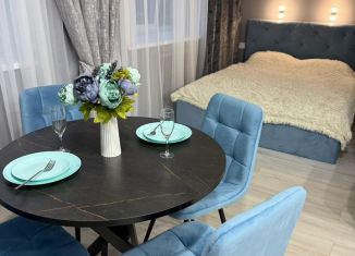 Аренда квартиры студии, 30 м2, Костромская область, улица имени 50-летия Советской Власти, 11А